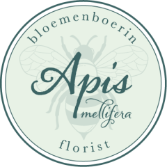 Apis Mellifera