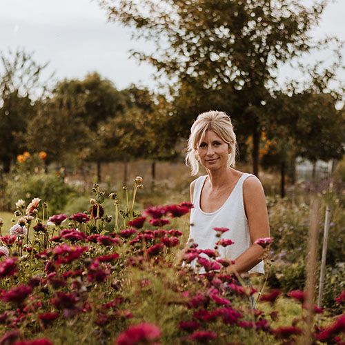 Cadeaubon bij bloemenboerin Melissa van bloemenwinkel Apis Mellifera uit Geraadsbergen